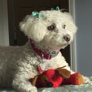 Meet your Posher, Peg